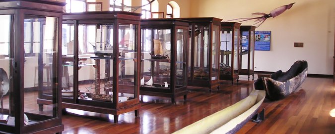 Mar_Del_Plata_-_Blog_-_Museu_de_Pesca (1)