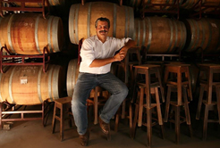 Conheça os vinhos Paulo Laureano
