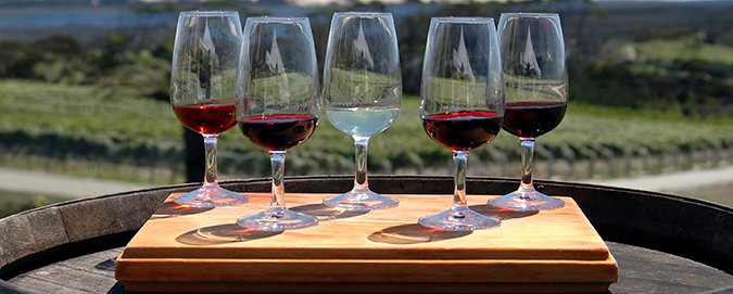 Mar_Del_Plata_-_Blog_-_One_Tree_-_Vinho_tinto_da_Nova_Zelandia