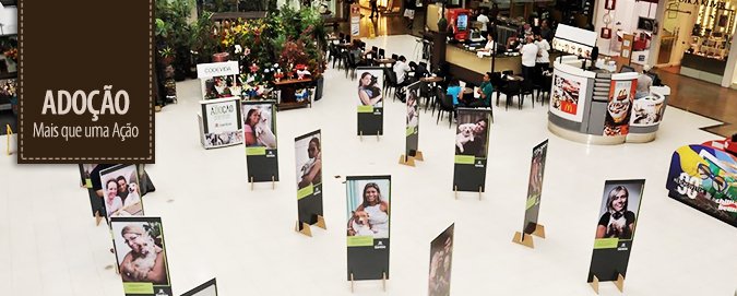 mar-del-plata---blog---exposicao-adocao
