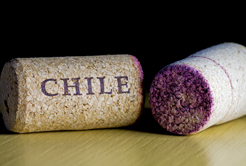 A tradição dos Vinhos Chilenos
