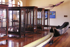 Conheça Santos: Museu de Pesca em Santos