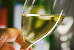 Vinho Branco Argentino – Yauquen