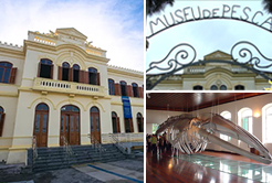 O Museu da pesca de Santos