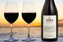Vinho Miolo – Reserva Pinot Noir