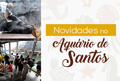 Novidades no Aquário de Santos