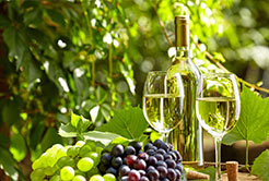Conheça mais sobre os vinhos verdes