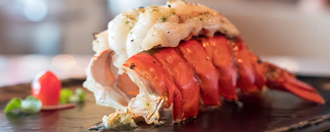 Série curiosidades culinárias: conheça mais sobre a lagosta