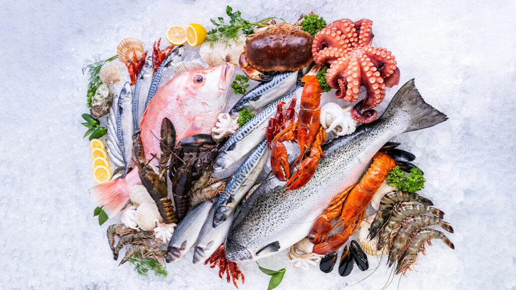 Você sabia? A origem do fruto do mar pode alterar sabor e aparência